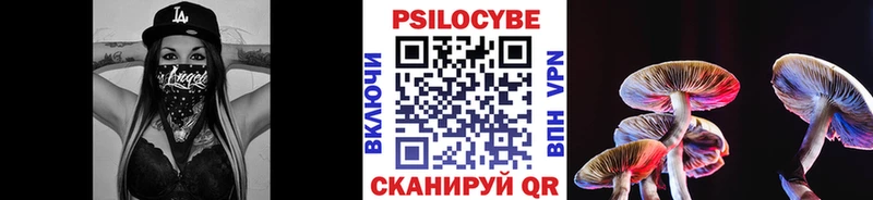Псилоцибиновые грибы Psilocybine cubensis  Купить закладки  Краснокамск 